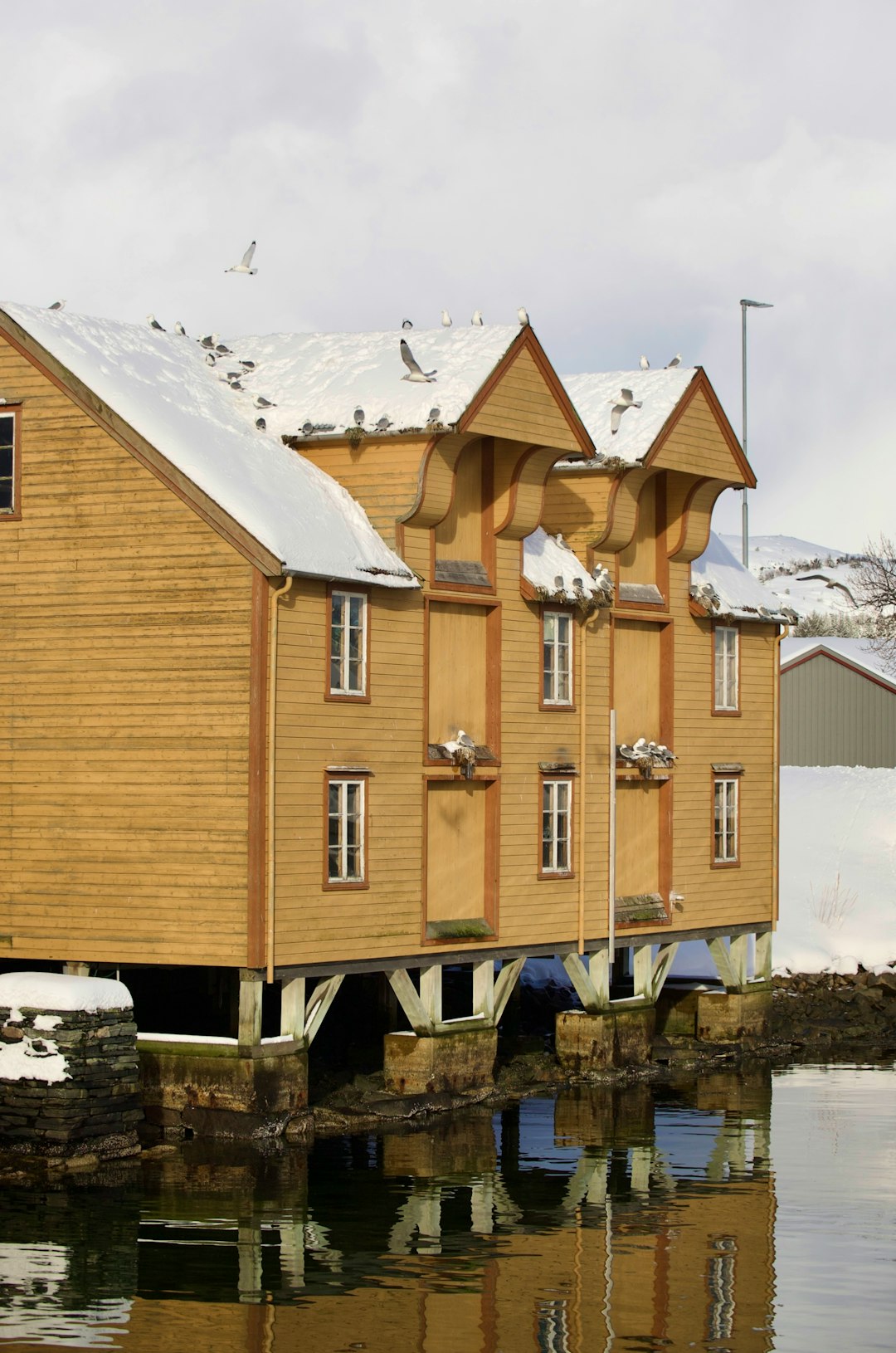 Schwimmendes Sauna-Paradies: Rabagast Studio revolutioniert die Architektur in Norwegen