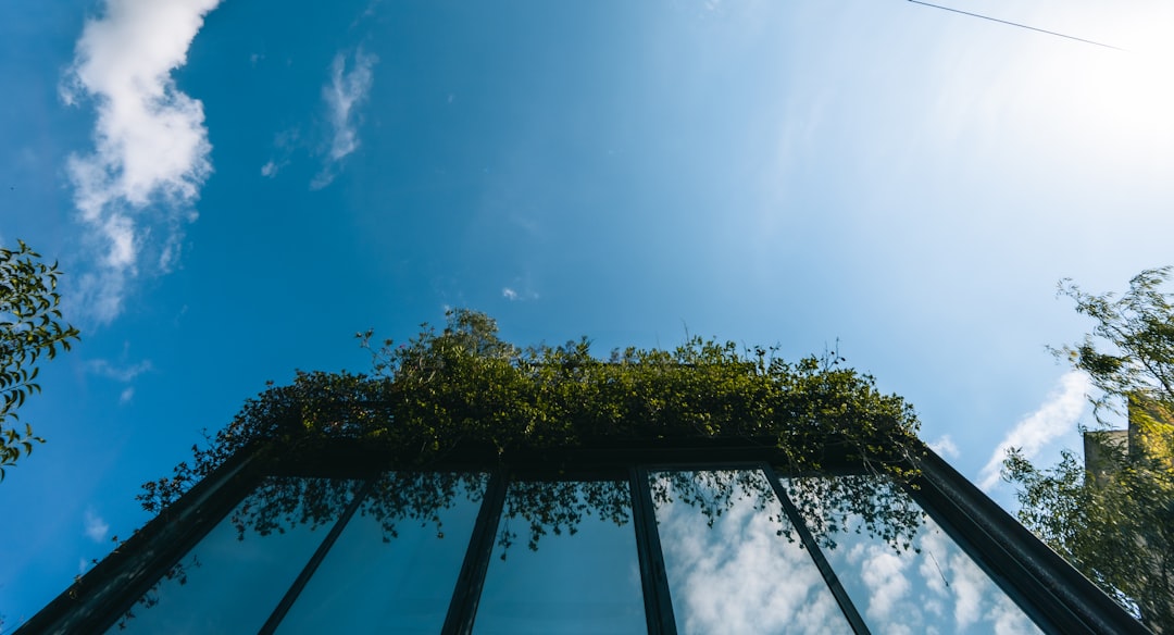 Nachhaltig Bauen: Wege zu klimaresilienten St&auml;dten im Jahr 2026