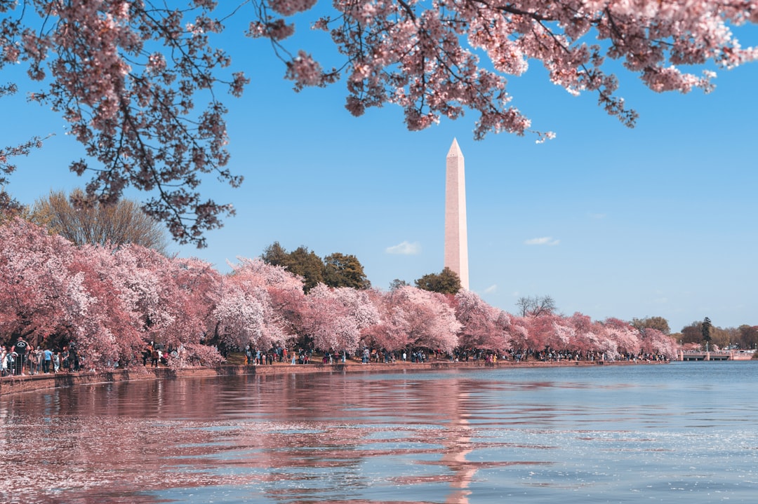 Von der Filtration zur Erholung: Washingtons neues grünes Paradies