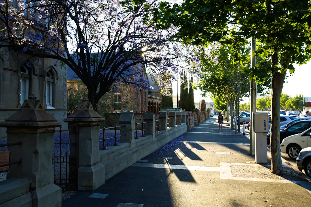Ein sicherer Hafen: Neues Wohnprojekt in Adelaide bietet Frauen Schutz und Gemeinschaft